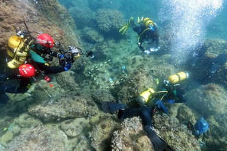 Para penyelam bebas amatir menemukan banyak koleksi koin emas Romawi di lepas pantai Spanyol.