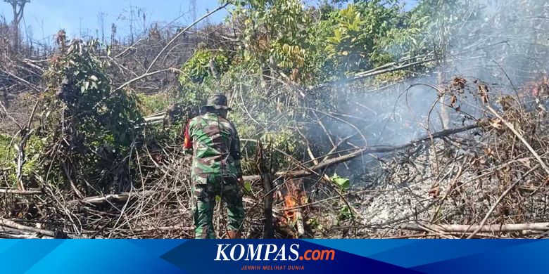 Akses Terlalu Ektrem, Petugas TNI di Rokan Hulu Padamkan Karhutla secara Manual