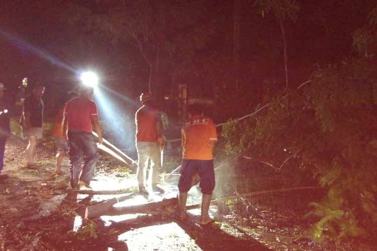 EVAKUASI -Tim Badan Penanggulangan Bencana Daerah Kabupaten Magetan bersama aparat dan warga mengevakuasi pohon tumbang yang menutup ruas jalan di Kabupaten Magetan, Sabtu ( 4 / 3 / 2017) malam. 