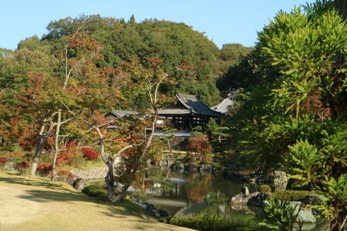 Menyusuri Taman Cantik Shinshoji Zen, Jepang