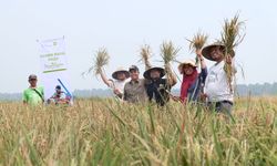 Berkat Sinergi Kuat, Petani Berhasil Panen Raya