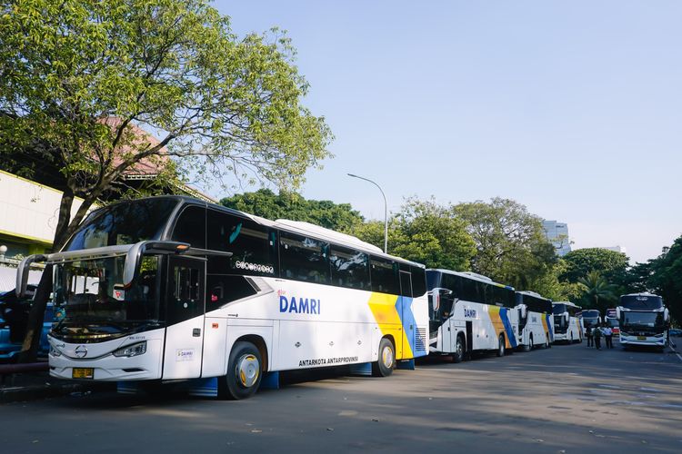 Ada Diskon Tiket DAMRI 20 persen, Ini Cara dan Syaratnya