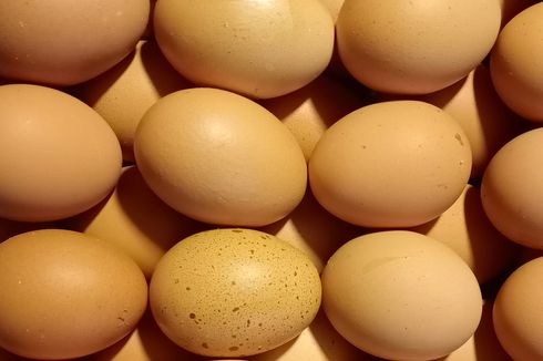 Berapa Lama Telur Segar Bisa Disimpan