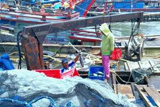 Resmi, Menteri KP Larang Penggunaan Alat Tangkap Ikan yang Rusak Ekologi Laut