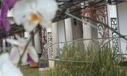 Dorong Pemanfaatan Lahan Kosong, Wali Kota Semarang Realisasikan Ide Pertanian Perkotaan