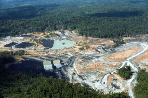 36 Anak di Kaltim Tewas Tenggelam di Lubang Tambang: Saya Lihat Cucu Mengambang di Danau...