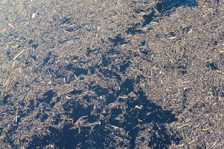 Foto udara sampah dari kayu gelondongan yang hanyut di danau Singkarak di Nagari Muaro Pingai, Kabupaten Solok, Sumatera Barat, Minggu (30/11/2025). Menteri LH Panggil 8 Perusahaan Imbas Gelondongan Kayu di Banjir Sumatera