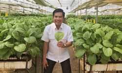 Produksi Naik Bulan Agustus, September dan Oktober, Program Pompanisasi Berhasil