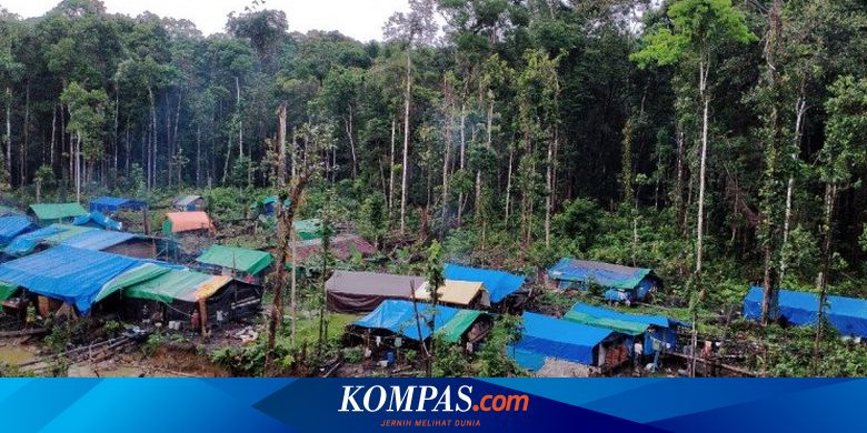 "Beras 10 Kilogram Itu Seharga 4 Gram Emas kalau Dibeli dengan Uang Rp 2 Juta"