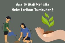 Apa Tujuan Manusia Melestarikan Tumbuhan?