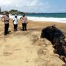 Bangkai Hiu Paus Sepanjang 5 Meter Ditemukan Nelayan Pantai Selatan Blitar