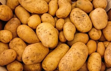 8 Makanan yang Tak Boleh Dipanaskan, Bisa Jadi Racun dan Picu ...