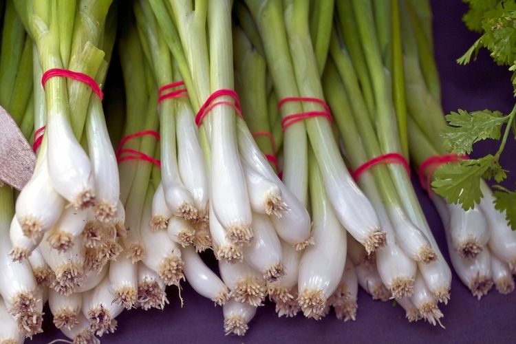 Ilustrasi daun bawang. 