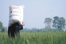 Kuota Pupuk Bersubsidi di NTT Tambah 2 Kali Lipat, Produktivitas Diharapkan Meningkat