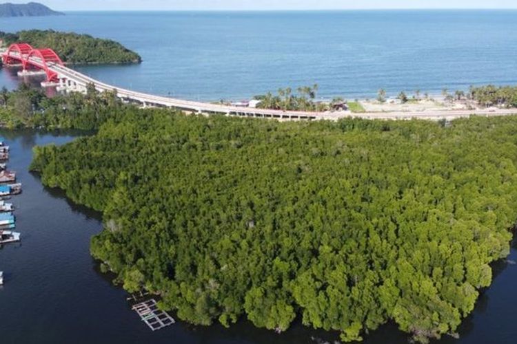 Hutan Perempuan dan latar belakang Jembatan Youtefa