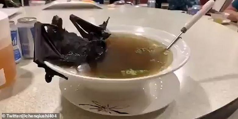 Sup kelelawar