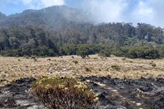 Kebakaran Hutan Gunung Semeru Meluas, Jalur Pendakian Ditutup Total