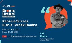 LIVE BRONIS UMKM 31 MEI 2023: Rahasia Sukses Bisnis Ternak Domba
