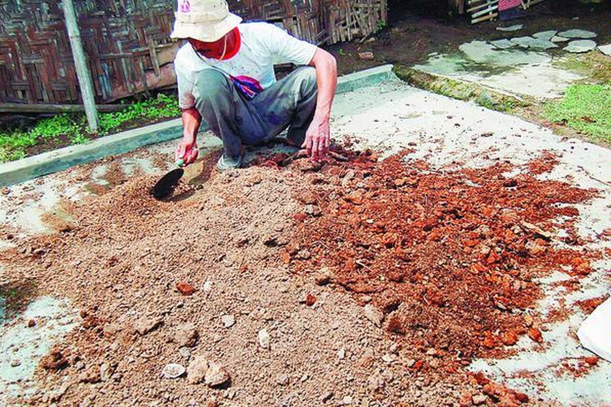 Petani menyiapkan pupuk organik dari kotoran sapi.