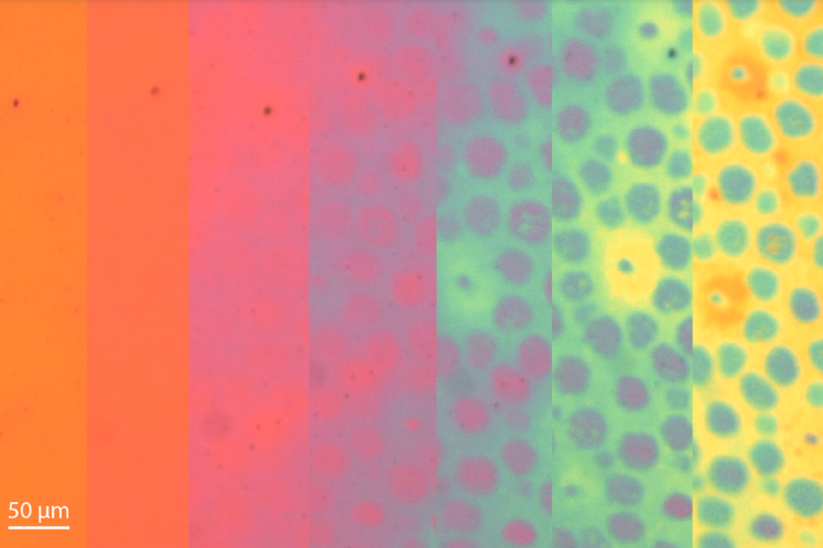 Ilustrasi perubahan warna dalam kulit sintetis buatan para ilmuwan.