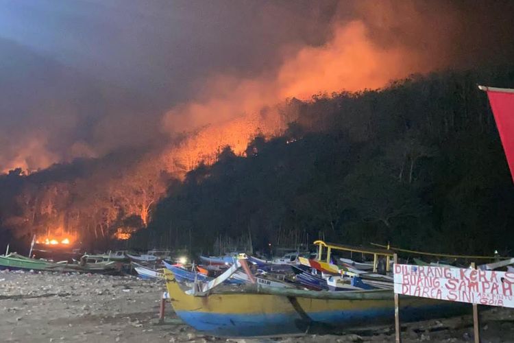 Kebakaran Melanda 6,5 Hektar Hutan Gunung Watangan Jember, Api Tersebar di Beberapa Lokasi