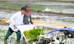 Lawan Mafia Pangan, Ini Upaya Mentan Jaga Kesejahteraan Petani