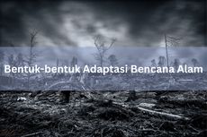 Bentuk-bentuk Adaptasi Bencana Alam