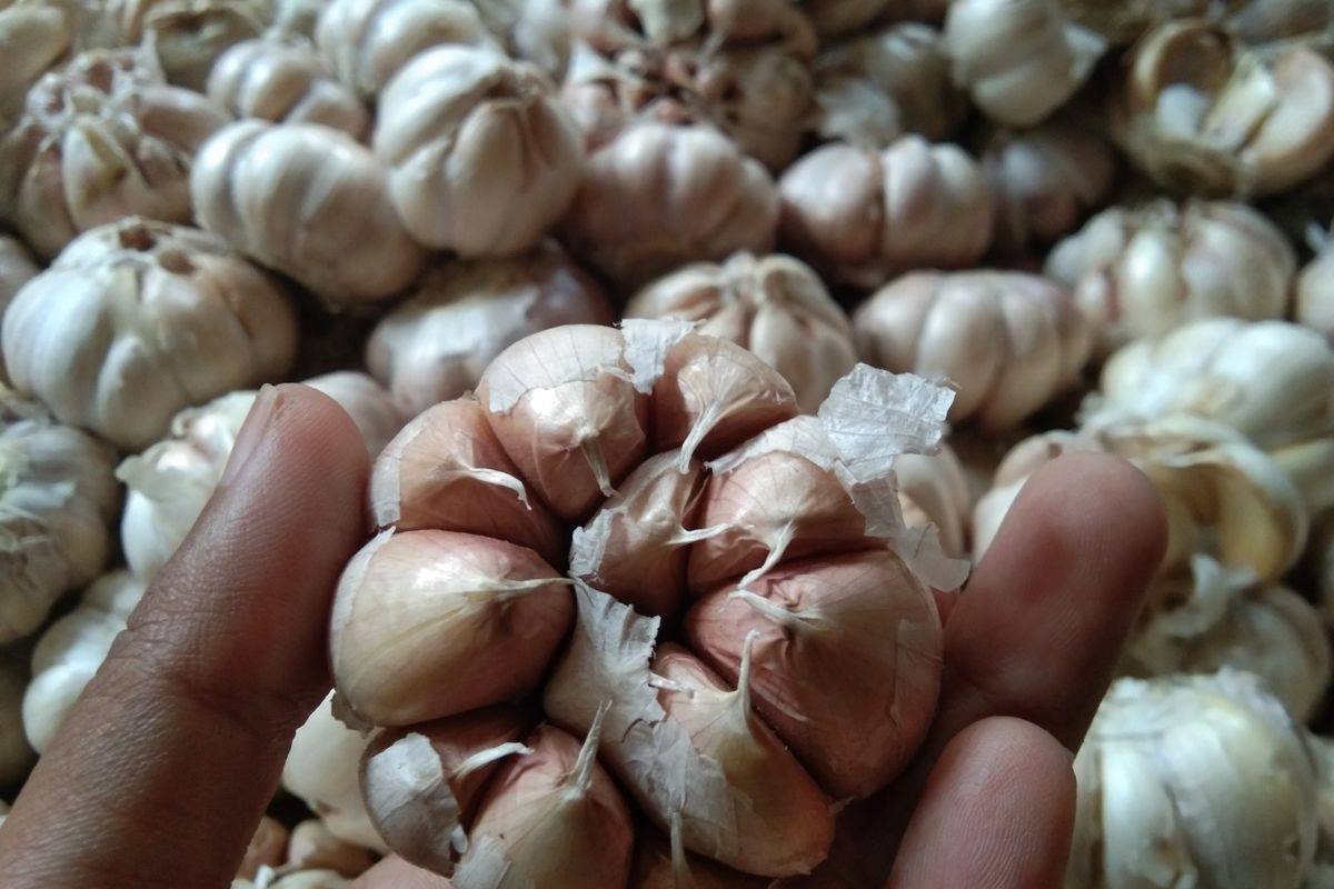 Harga bawang putih di pasar tradisional di Karawang Rp 55.000 per kilogram.