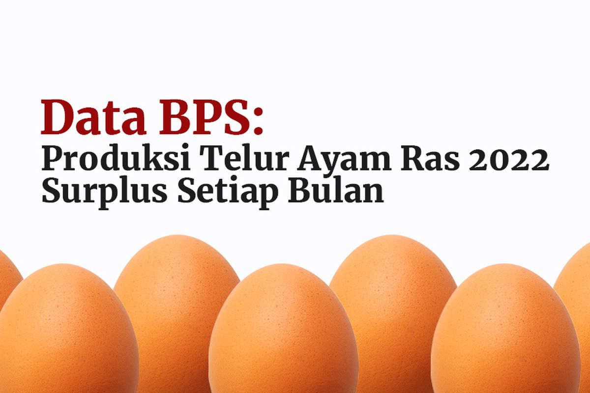 Data BPS: Produksi Telur Ayam Ras 2022 Surplus Setiap Bulan