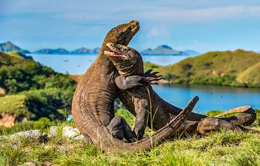 9 Pulau di Taman Nasional Komodo, Kunjungi Saat Liburan ke Sana ...