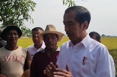 Kontradiksi Janji Swasembada Jokowi dan Kebijakan Impor Beras