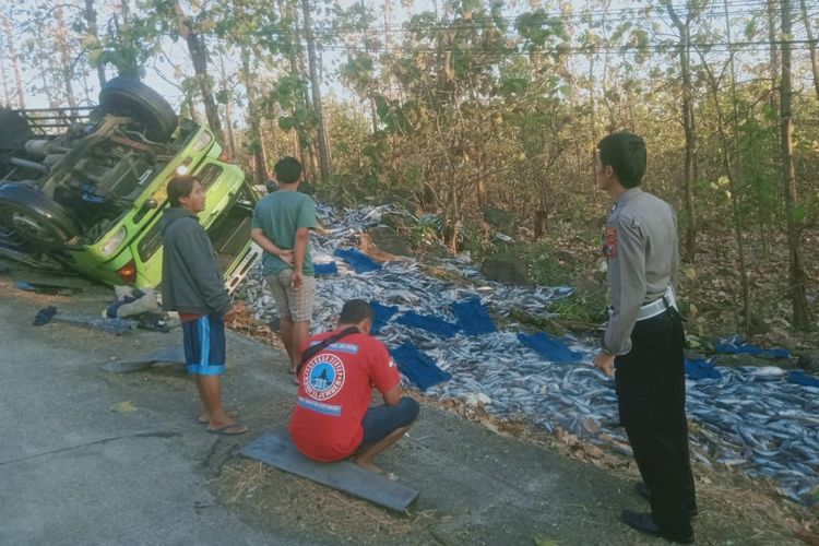 Foto: 18 ton ikan tongkol tumpah di Jalan Pantura Hutan Baluran pada Kamis (6/7/2023).