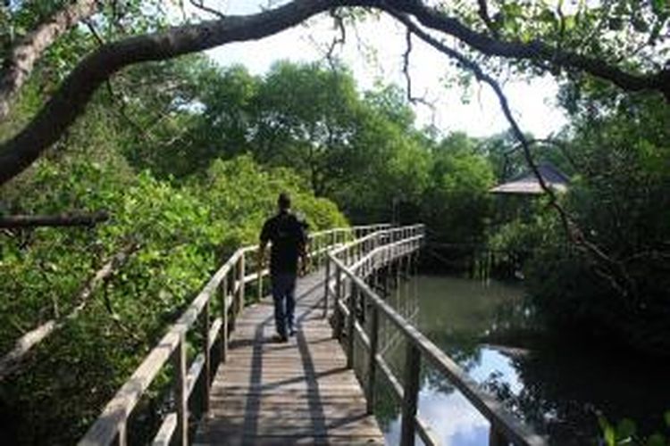 Kawasan wisata mangrove di Mangrove Information Center, Bali.