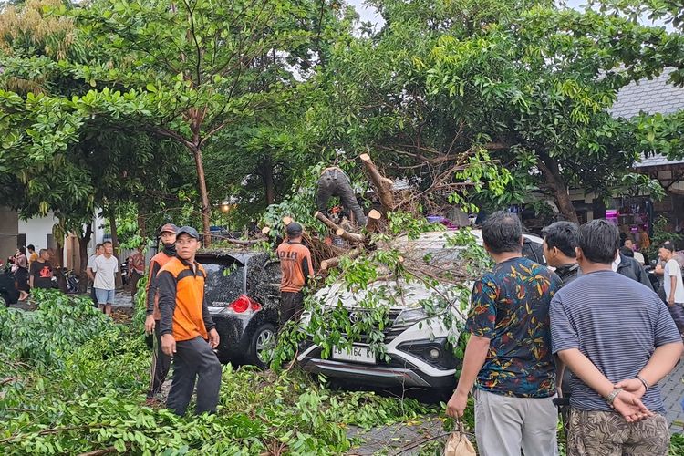 Angin kecang disertai hujan deras melanda Kota Solo, Jawa Tengah (Jateng), sejumlah pohon tumbang dan timpa dua mobil, pada Rabu (3/1/2024).