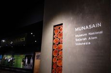 Museum Nasional Sejarah Alam Indonesia