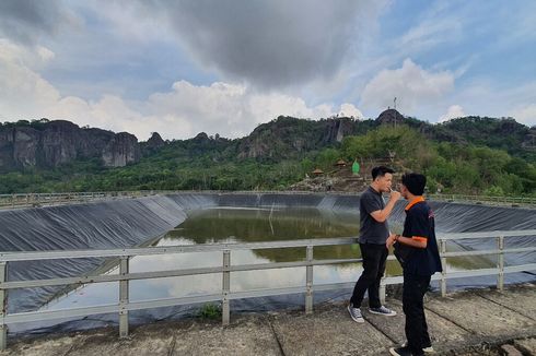 Kekeringan, Kebun Durian di Sekitar Embung Nglanggeran Gunungkidul Tak Diairi