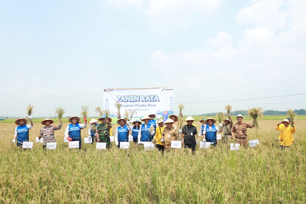 Panen raya oleh petani organik binaan Pertamina EP Cepu