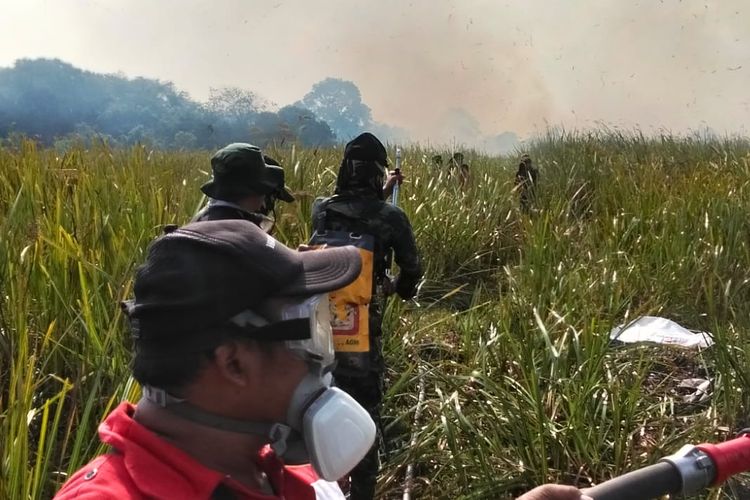 Kebakaran Way Kambas, Pemprov Lakukan Water Bombing dan Modifikasi Cuaca 23-24 Agustus 2026