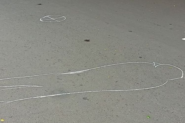 Dua Penumpang Mobil yang Ditabrak Kereta di Lampung Meninggal Dunia
