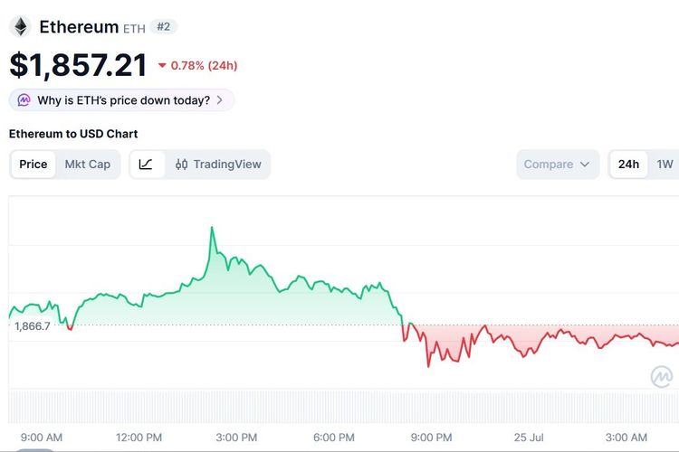 Harga Ethereum Hari Ini 25 Juli 2026 Turun Ikuti Tren Negatif Bitcoin