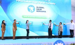 Peternakan Sapi Perah Terpadu di Brebes Mulai Dibangun, Target Produksi 180.000 Ton Susu per Tahun