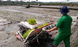 Menteri Amran Pastikan Tidak Ada Lahan Tidur di Lumajang