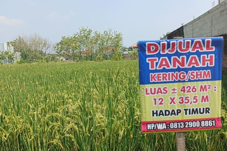Cek Sertifikat Tanah Terjangkau, Tapi Bisa Selamatkan Aset Miliaran