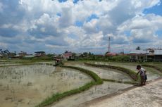 Cara Mengusir Kaki Seribu yang Sering Masuk Rumah Saat Musim Hujan