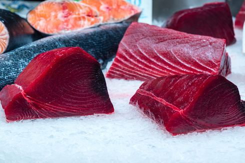 3 Cara Pilih Tuna Segar, Perhatikan Tekstur Daging