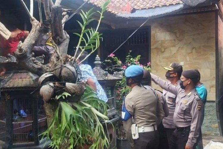 Petugas Polsek Karangasem saat mengamankan pelaku penganiayaan di Desa Pertima, Kecamatan Karangasem, Karangasem, Bali, Jumat (24/7/2020) siang