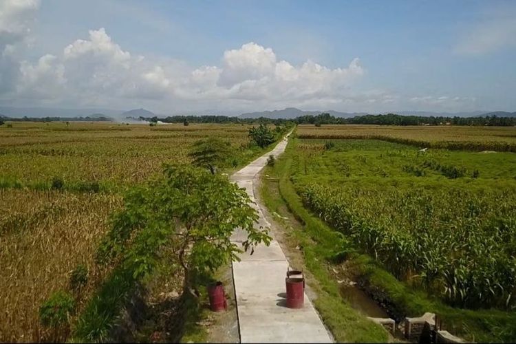 JUT di Dusun Sulakdoro, Kabupaten Jember, Jatim, memudahkan akses produksi pertanian