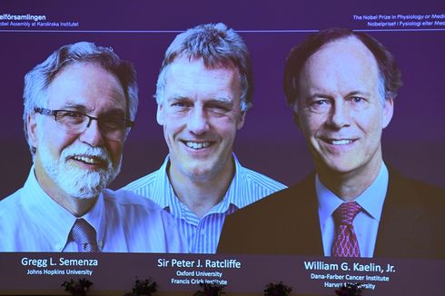 Bongkar Cara Sel Atur Oksigen, 3 Ilmuwan Raih Nobel Kedokteran 2019