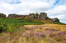 Foto Alien di Ilkley Moor yang Tak Dapat Dibuktikan...