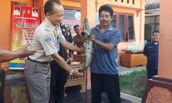 Ancam Ekosistem Perairan, Warga Jabar Diminta Serahkan Ikan Predator